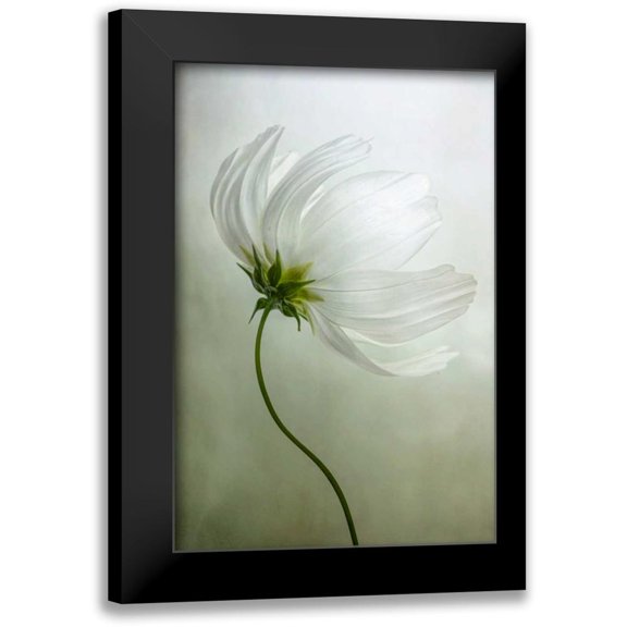 Disher, Mandy 11x14 Black Modern Framed Museum Art Print Titled - Cosmos Charisma