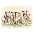thumbnail image 2 of Popp, Grace 18x15 White Modern Wood Framed Museum Art Print Titled - Golden Graze II, 2 of 4