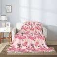 thumbnail image 2 of Throw Blanket for Couch Sofa and Bed, Summer Flamingo Super Soft Plush Throw Blanket, Fuzzy Cuteness Comfy Warm Washable Flannel Blanket & Throws for All Season 60"x50", 2 of 5