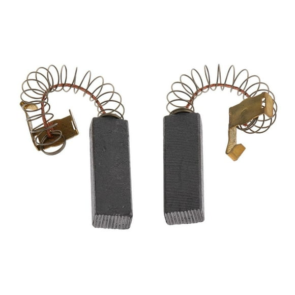 2 cepillos de repuesto de carbón para secador profesional Pet Shop - 40x11,5x6,5 2 Yuyangstore Brocha de carbón