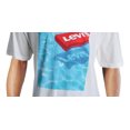 thumbnail image 3 of Levi Strauss & Co. Mens Floater Graphic Crew Neck T-Shirt, 3 of 3