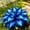 Mix-A, variant on `Hosta Flower Bulbs, Low Maintenance Perennial Easy‑Grow, Suitable for Garden Beds, Borders, Pots and Planters`