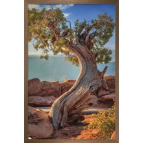 Beth Sheridan - Dead Horse Point Wall Poster, 22.375" x 34", Framed