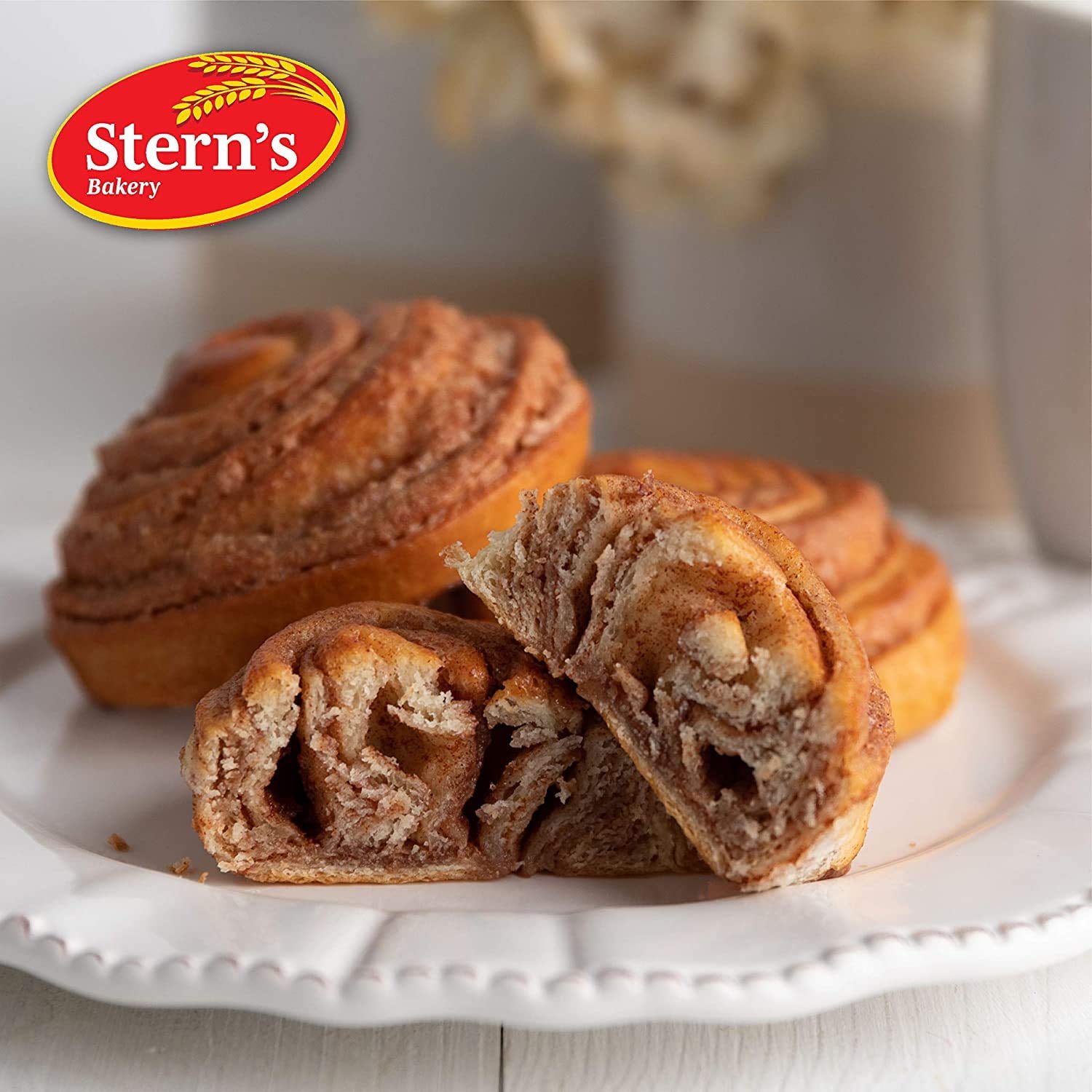 Sterns LB Cinn Swirl