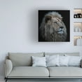 thumbnail image 2 of Louise Wolbers 'Proud Lion' Canvas Art, 2 of 4