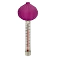 thumbnail image 1 of Swimming Pool Thermometer,Cute Fruit Floating Pool Thermometer, Easy to Read,Fish Shape Pool Thermometers for Swimming Pool,Spa,Hot Tub,Ice Bath,Fish Pond, 1 of 8