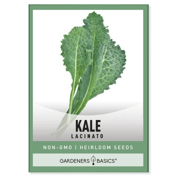 Lacinato Kale Seeds