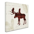thumbnail image 2 of Trademark Fine Art 'Plaid Lodge IV' Canvas Art by Wild Apple Portfolio, 2 of 3