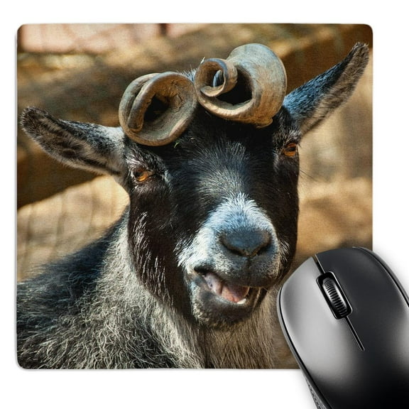 3dRose, Curly horned goat, smiling at me, MousePad