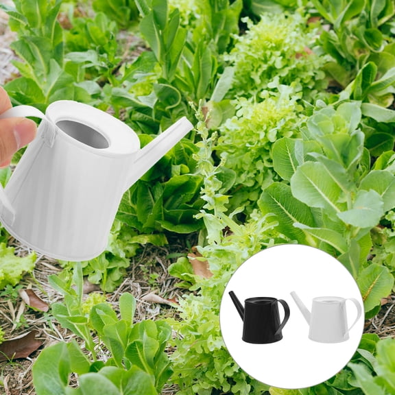 Raindrops Small Indoor Watering Can Set, 2pcs Galvanized Iron Plant Care Pots for Home and Garden