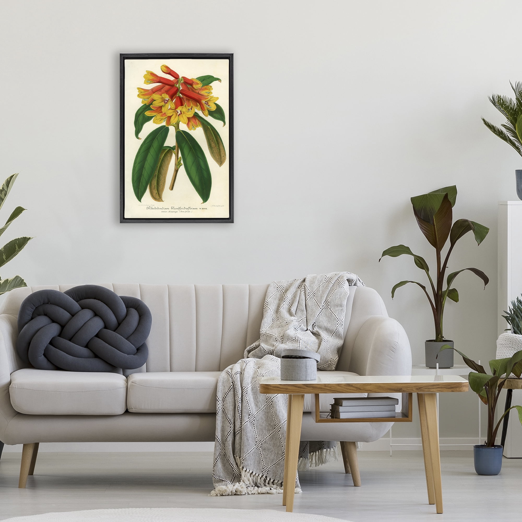 Stupell Industries Orange Yellow Rhododendron Black Framed Floater Canvas Wall Art, design by Print Collection