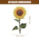 thumbnail image 2 of unbranded Jardín Decorativo Con Clavo De Girasol En Acrílico Para Exterior Y Césped, 2 of 7