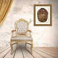 thumbnail image 3 of McCavitt, Naomi 25x32 Gold Ornate Wood Framed with Double Matting Museum Art Print Titled - Tortoise Shell Detail I, 3 of 4