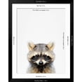 thumbnail image 3 of Raccoon Framed Photographic Print by Tai Prints, 24" x 32", Sold by Art.com, 3 of 5