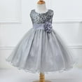 thumbnail image 5 of EASTIN Petites Filles Cendrillon Dentelle Princesse Robe Concours de Bal Robes Enfants Tulle Fleurs Filles Robes, 5 of 5