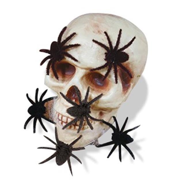 mini black spiders