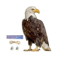 thumbnail image 1 of Decoración de búho falso Scarer de pájaro de búho falso de búho señuelo Búho para mantener a los pájaros alejados Estilo E, 1 of 7