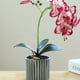 thumbnail image 5 of Matsuzay Flor de orquídea artificial Bonsai con maceta Phalaenopsis en maceta Inicio Type9 NO9, 5 of 6