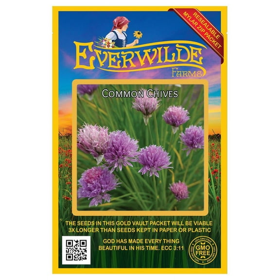 Everwilde Farms - 1000 Common Chives Herb Seeds - Gold Vault Jumbo Bulk Seed Packet