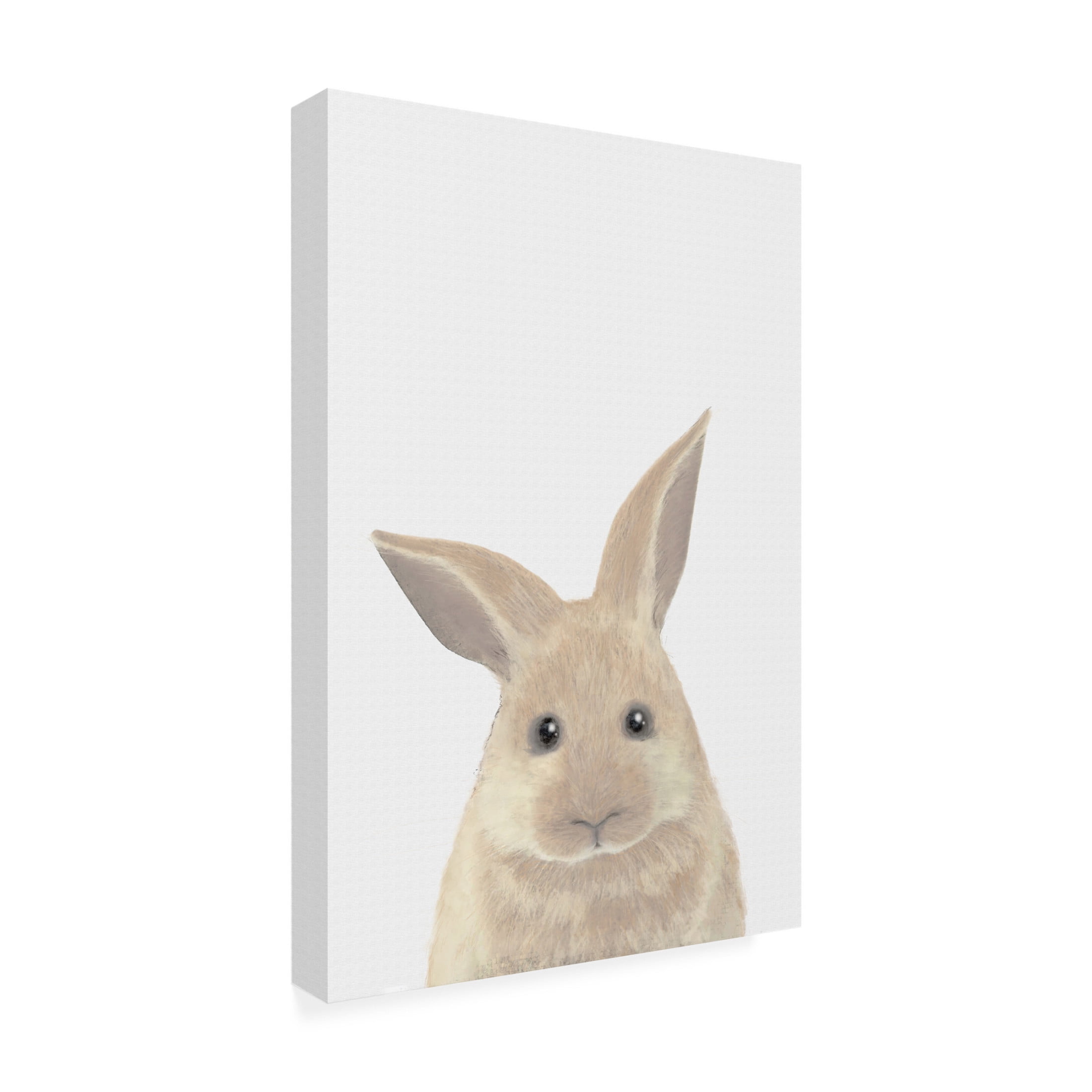 Canvas Wall Art - Pictufy Studio Ii 'Rabbit' Wall Art for Living Room, Bedroom, or Office Décor by Trademark Fine Art - 16 x 24 Inches