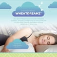thumbnail image 3 of Buckwheat 20X26" Standard Bed Pillow - Cotton Fabric Soft Pillow for Sleep - Made in USA, 3 of 11