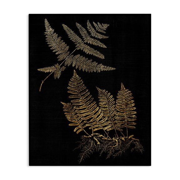 Stupell Industries French Country Fern Plant Illustration Bold Vintage Forest Botanical Canvas Art, 16 x 20, by Lil' Rue