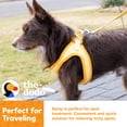 thumbnail image 4 of The Dodo Itch Relieving Shampoo & Spray Bundle for Dogs Scent Free, 4 of 7