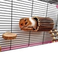 thumbnail image 6 of Whigetiy Pet Small Animal Wooden Tunnel Guinea Pig Hideout for Play Tube Toys for Dwarf Rabbits Hideaway Bedding for Chinchilla, 6 of 9