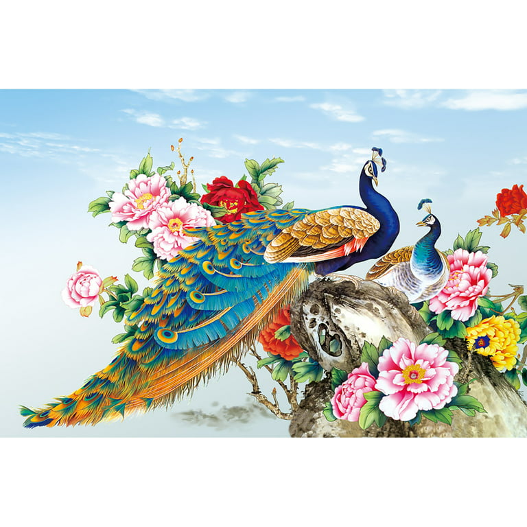 Birds Diamond Art Kits,Peacock Diamond Painting Kits for Adults