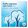 thumbnail image 6 of Puffs 80337307 2-Ply Ultra Soft Facial Tissue - White (4 Packs/Carton), 6 of 6
