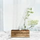 thumbnail image 5 of Ramas de coral pavo real, plantas artificiales decorativas para bodas. Blanco (sin base), 5 of 9