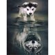 thumbnail image 1 of Hilo de punto de cruz completo reflectante Husky Dog Wolf 11CT algodón DIY Kits contados Hugtrwg Para estrenar, 1 of 9