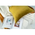 thumbnail image 3 of Gouchee Home Solid Velvet Coussin, 3 of 4