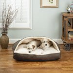 Snoozer Cozy Cave Rectangle Pet Bed, Extra Large, Anthracite, Hooded Nesting Dog Bed
