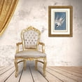 thumbnail image 3 of Audubon, John James 13x18 Gold Ornate Wood Framed with Double Matting Museum Art Print Titled - Pl 240 Roseate Tern, 3 of 4