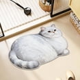 thumbnail image 5 of Roiihwy Cat Bath Rug - Cute Bath Mat,Soft and Fluffy Round Bath Rugs,Non-Slip Absorbent Bath Mats,Cat Bathroom Mats for Bathroom,Kid Room,Bedroom, 5 of 6