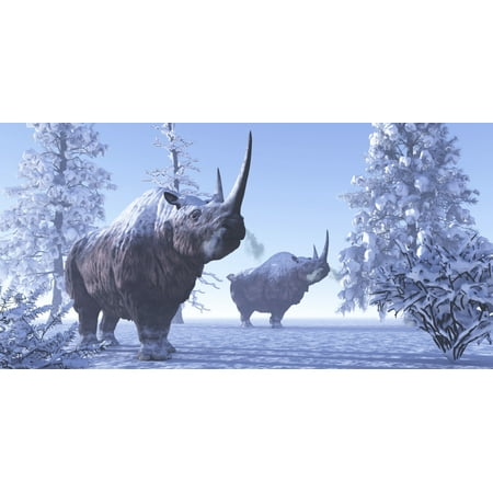 Wooly Rhino - Woolly Rhino males keep each other company during a snowy winter in the Pleistocene Period Poster Print
