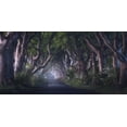 thumbnail image 2 of Gastager, Daniel 24x14 Black Ornate Wood Framed with Double Matting Museum Art Print Titled - The Dark Hedges, 2 of 4