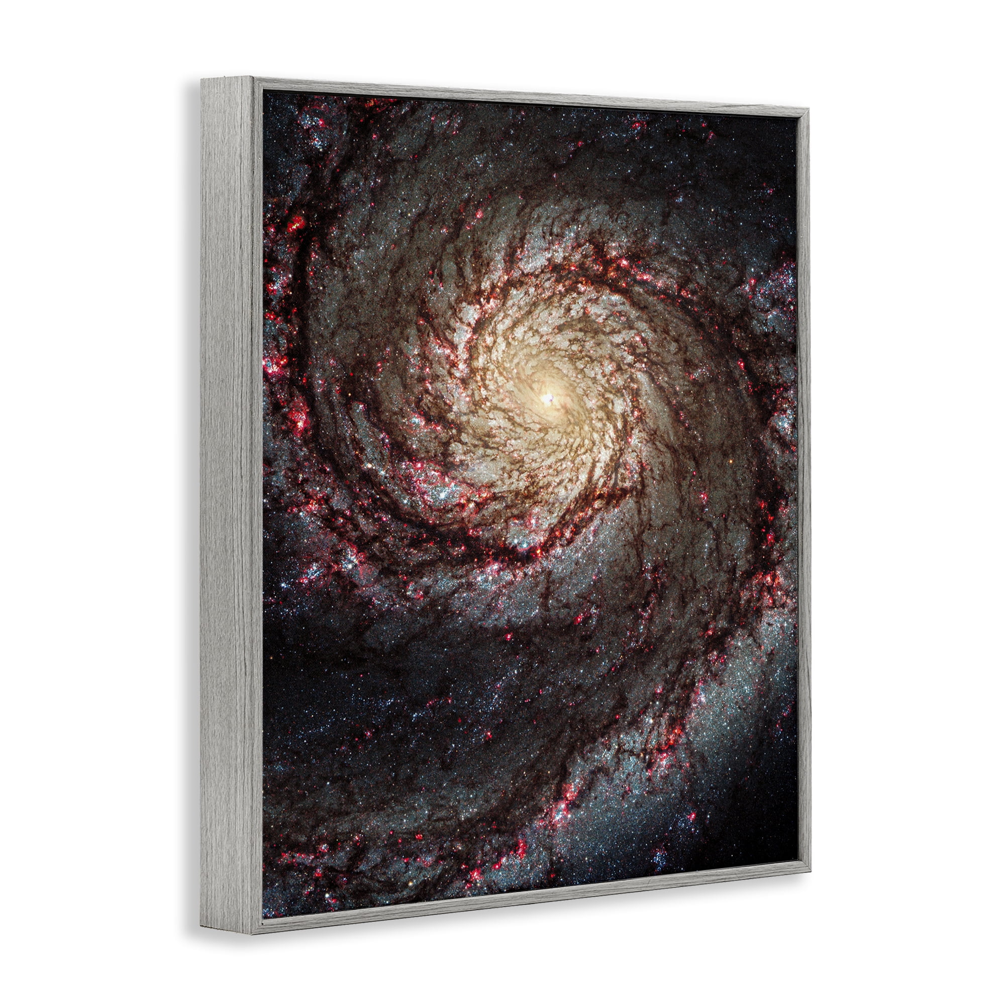 Stupell Industries Great Beyond Nebula Animals & Insects Photography Gray Framed Art Print Wall Art, 16 x 20