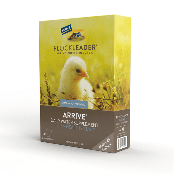 FlockLeader Arrive Chicken Supplement, 8 Ounce