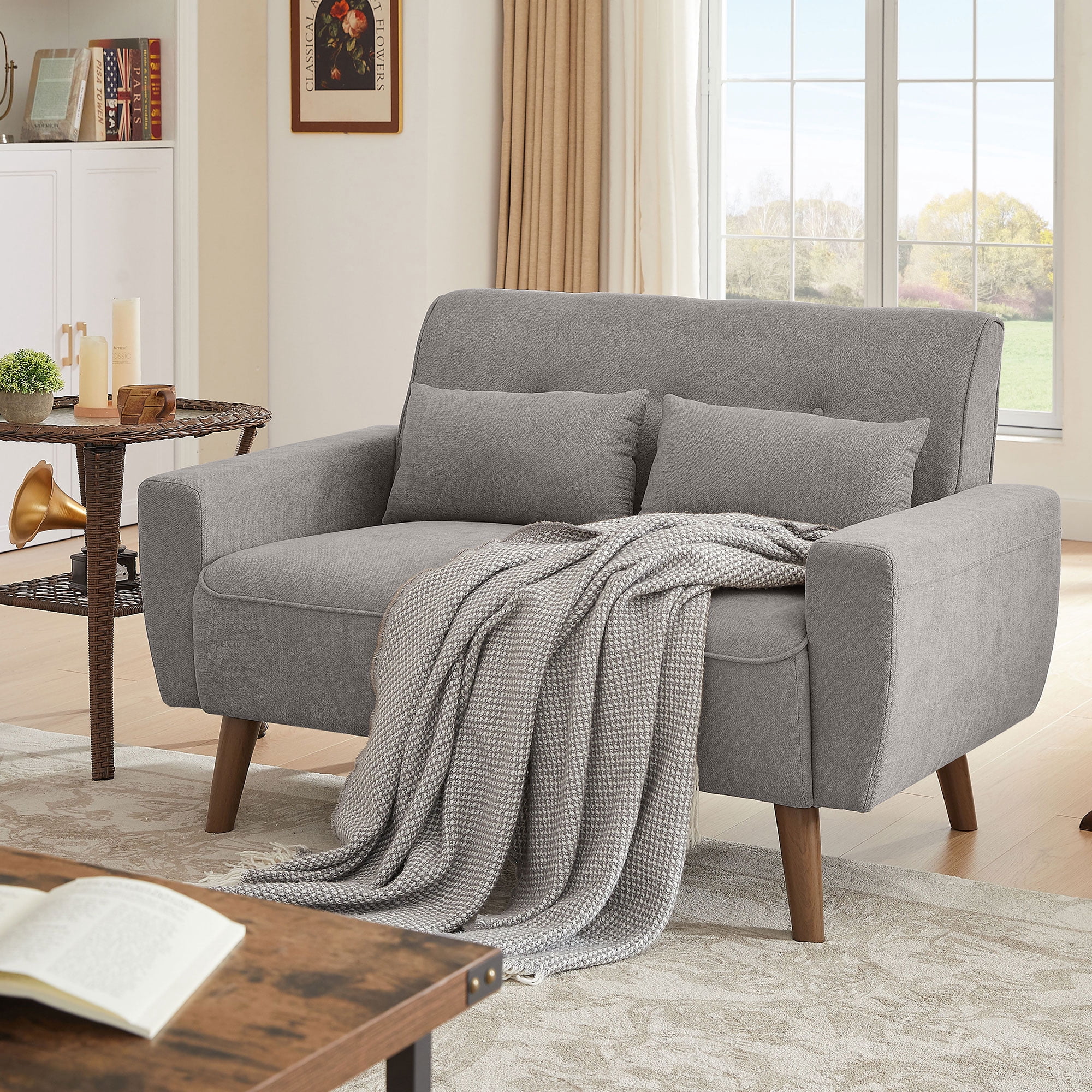 Soscana Loveseat Double Seat Sofa Couch with 2 Throw Pillows, Modern Creative Small Couches Love Seat for Living Room Apartment Bedroom Small Space Office Studio