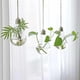 thumbnail image 5 of Bombilla de luz transparente, florero colgante de vidrio, botella, terrario, contenedor hidropónico, flor, bricolaje, decoración de la boda del hogar 1/2/3 piezas Vogacara JJ16976-03B, 5 of 6
