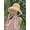 Beige, variant on Lace Straw Hat Women's New Summer Grass Weaving Hollow Outgoing Sun Protection Hat Beach Big Eaf Sun Protection Hat