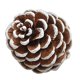 thumbnail image 4 of Decoración de adorno colgante de pistacho de con conos secos naturales Cono de Cola Decoración de cono de pino, 4 of 8