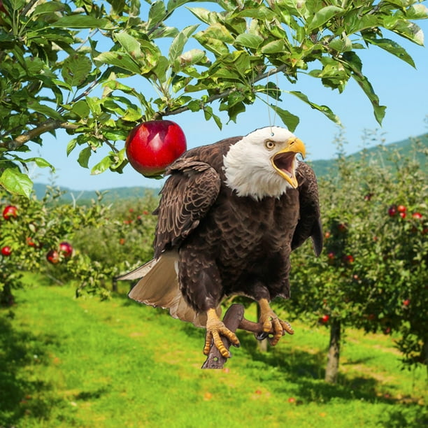 Espantapájaros realista con forma de búho | Decoración colgante repelente de pájaros para jardín, huerto y balcón | Decoración exterior resistente a la intemperie