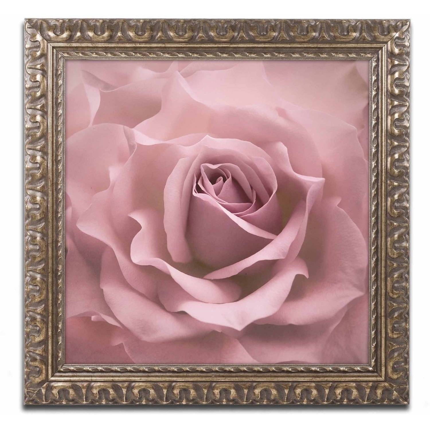 Trademark Fine Art 'Misty Rose Pink Rose' Canvas Art by Cora Niele