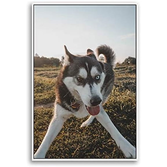 Personalized Custom Canvas Prints Photo On Canvas w/Framed Transform Your Photos Wall Art Printed Photo