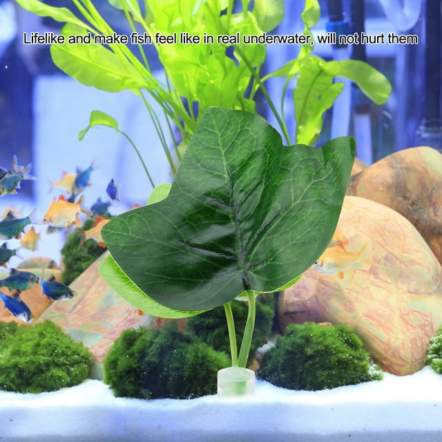 Hamaca Para Peces Betta, Hoja De Pez Betta De Alta Simulación, No Tóxica Para Zonas De Desove De Betta, Descanso Y Cría