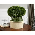 thumbnail image 2 of Uttermost Boxwood Topiaire de Saule en Pierre Mousseuse, 2 of 2