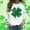Green, variant on FDGIU ‌‌‌‌Women's Saint Patrick's Day Sweatshirt - Long Sleeve Green Shamrock Print Crew Neck Pullover
